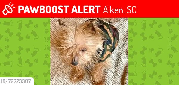 Lost Female Dog last seen Powderhouse and Lyon, Aiken, SC 29801