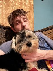 Lost Male Dog last seen Lathrop Ave and Highway St, Battle Creek, MI 49014