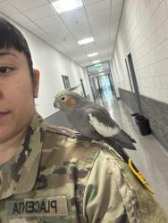 Found/Stray Unknown Bird last seen Las Vegas Motor Speedway, Las Vegas, NV 89115