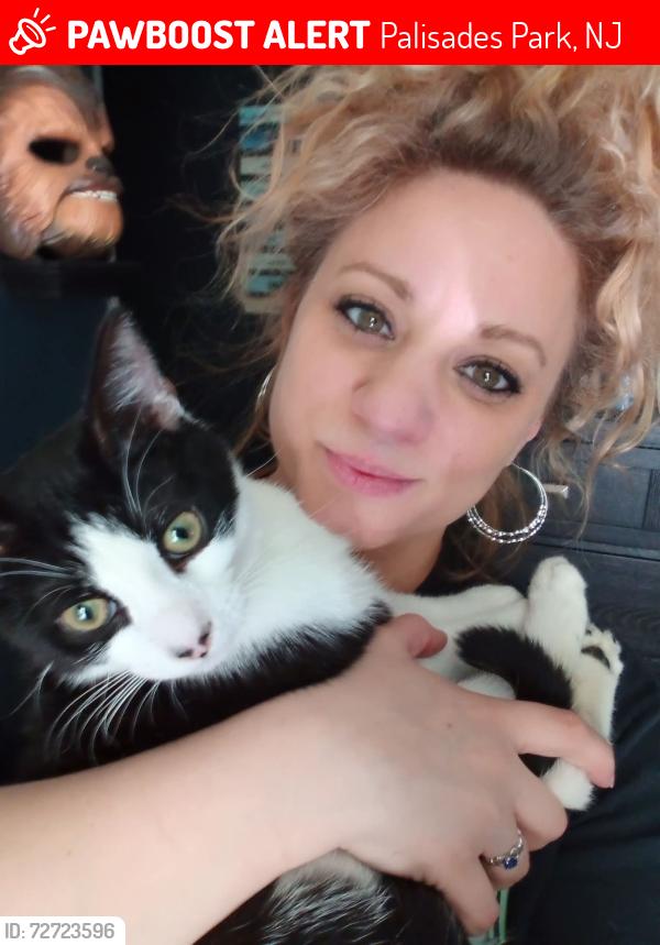 Lost Male Cat last seen Central Blvd , Palisades Park, NJ 07650