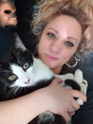 Lost Male Cat last seen Central Blvd , Palisades Park, NJ 07650