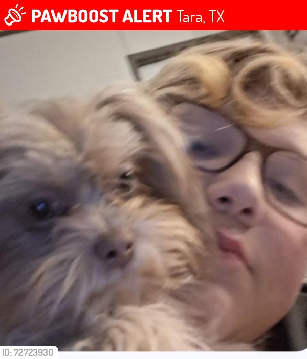 Lost Female Dog last seen By the bayou and a park, Tara, TX 77469