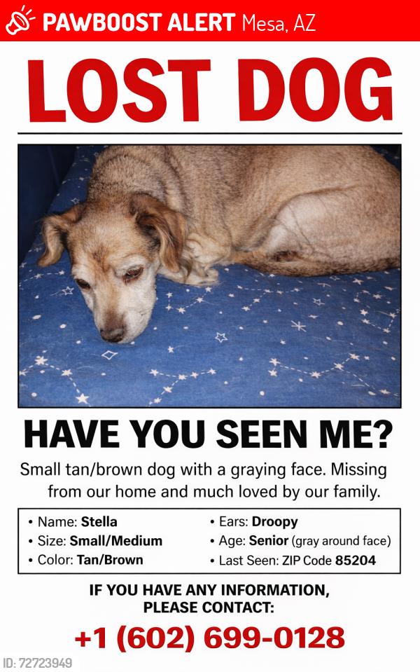 Lost Female Dog last seen Mesa, Az, Mesa, AZ 85201