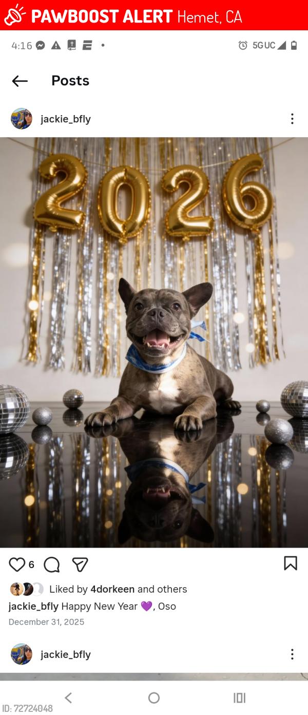 Lost Male Dog last seen Stater Brothers Florida Stanford , Hemet, CA 92544