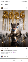 Lost Male Dog last seen Stater Brothers Florida Stanford , Hemet, CA 92544