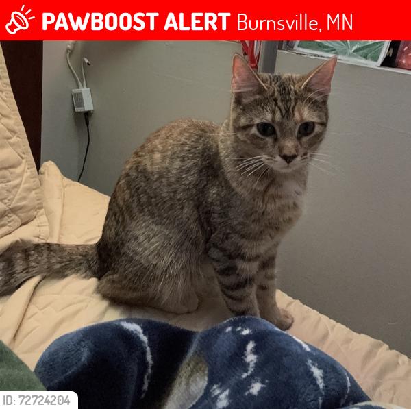Lost Female Cat last seen James ave S, Burnsville, MN 55337