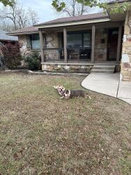 Found/Stray Unknown Dog last seen May ave and nw 63rd, Oklahoma City, OK 73116
