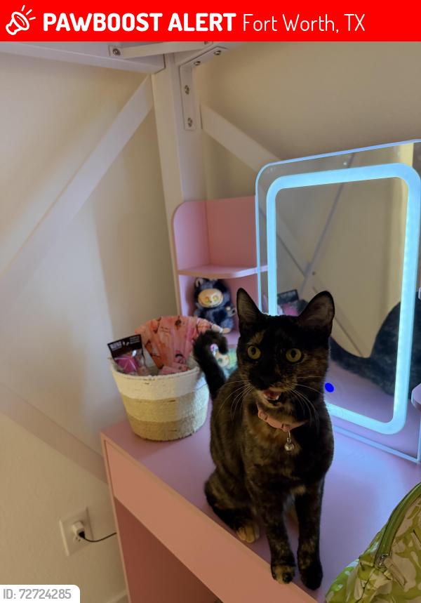 Lost Female Cat last seen Last seen her at 7 am , Fort Worth, TX 76179