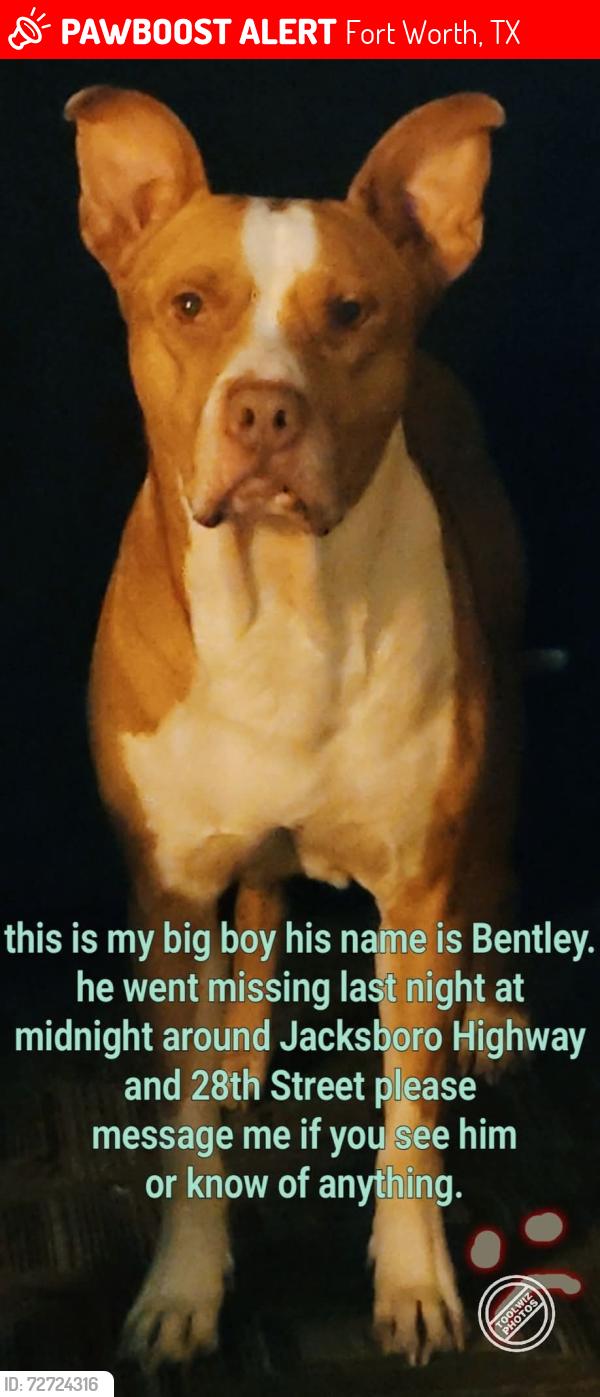 Lost Male Dog last seen Clinton Ave , Fort Worth, TX 76164