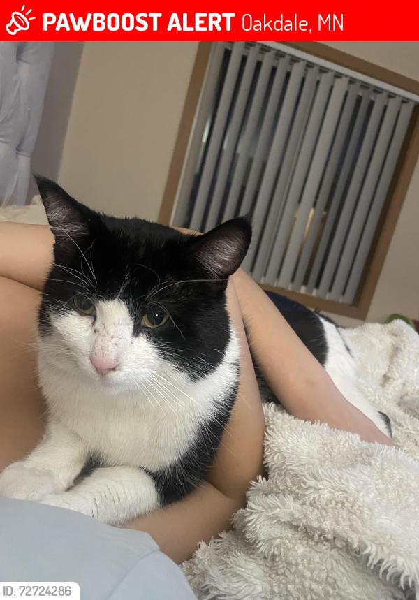 Lost Male Cat last seen 15th Street N, Oakdale, MN 55128