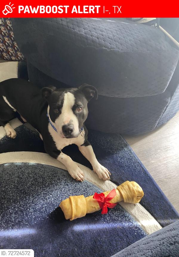 Lost Male Dog last seen Monroe @Airport blvd, I-45, TX 77864
