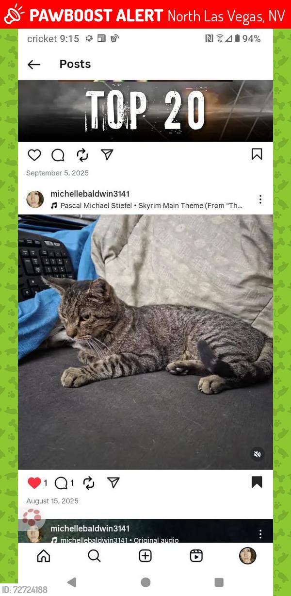 Lost Male Cat last seen Civic Center and Cheyenne, North Las Vegas, NV 89030