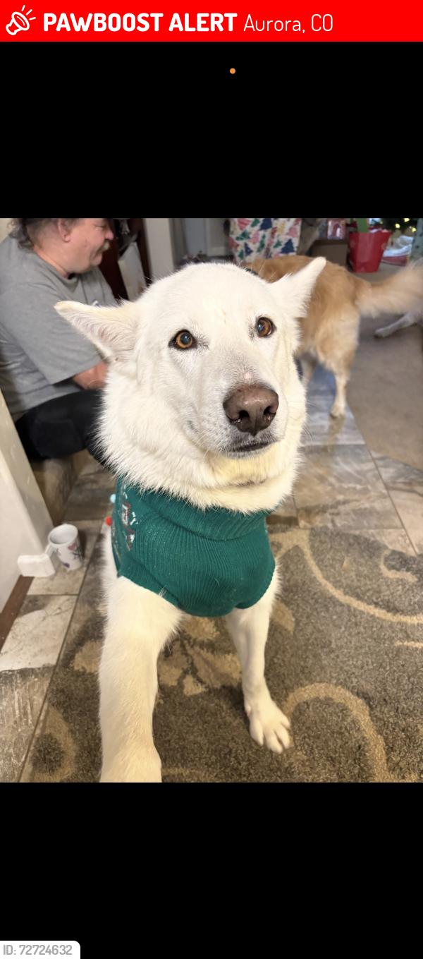 Lost Male Dog last seen Argonne Circle in Aurora Co, Aurora, CO 80011