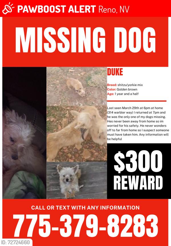 Lost Male Dog last seen Keitzke and gentry, Reno, NV 89502