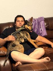 Lost Male Dog last seen Industrial fork, San Marcos, TX 78666