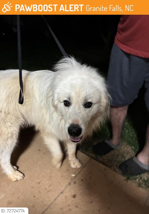 Found/Stray Male Dog last seen Grace chapel rd, Granite Falls, NC 28630