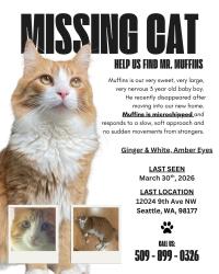 Lost Male Cat last seen Pipers Creek National Area, 9th ave nw and nw 122nd st, Seattle, WA 98177