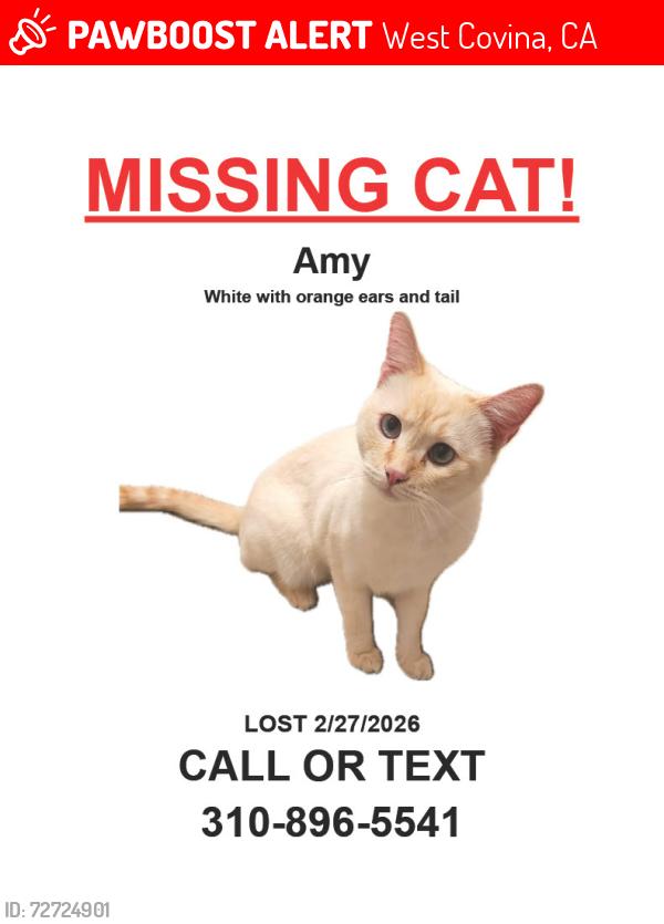 Lost Female Cat last seen Glendora Ave and E Mice St, West Covina, CA 91790