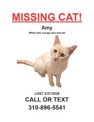 Lost Female Cat last seen Glendora Ave and E Mice St, West Covina, CA 91790