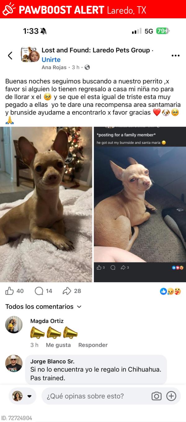 Lost Male Dog last seen By the chihuahua bridge, Laredo, TX 78043