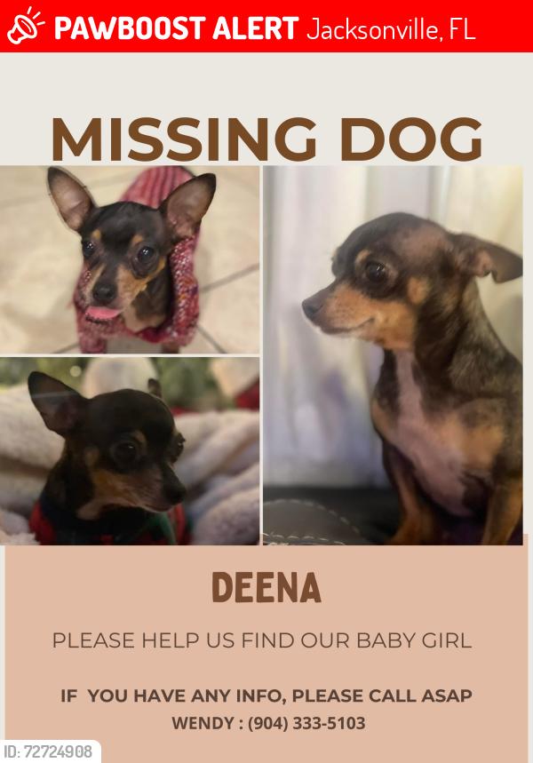 Lost Female Dog last seen Cesery blvd and Merrill Rd, Jacksonville, FL 32211