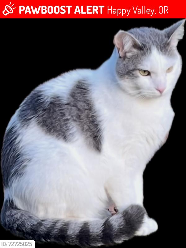Lost Male Cat last seen Masa Ln , Happy Valley, OR 97086