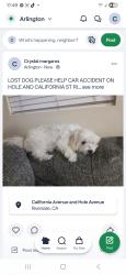 Lost Female Dog last seen California and hole Ave in riverside ca, Riverside, CA 92505