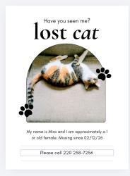 Lost Female Cat last seen Behind Walgreens , Bellaire, OH 43906