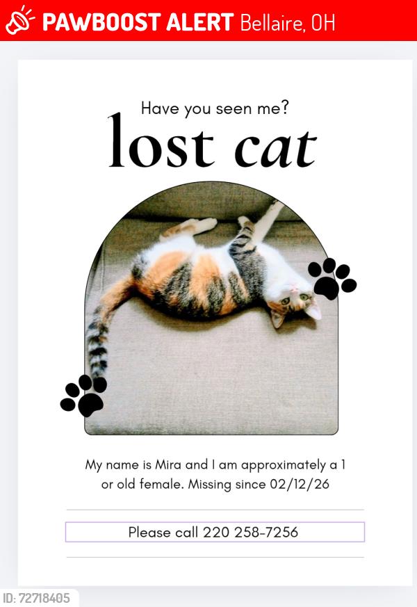 Lost Female Cat last seen Behind Walgreens , Bellaire, OH 43906