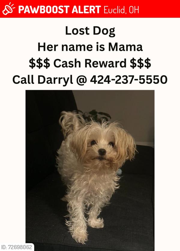 Lost Female Dog last seen Buena Vista Drive, Euclid, OH 44117