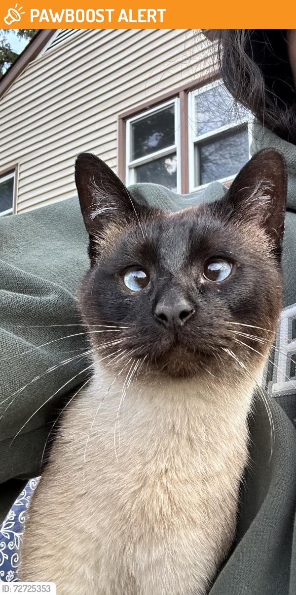Found/Stray Unknown Cat last seen Near arbor place, New Castle County, DE 19720