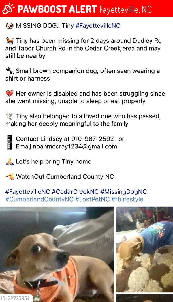 Lost Female Dog last seen McKinney & Dudley rd, Fayetteville, NC 28312