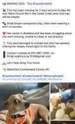 Lost Female Dog last seen McKinney & Dudley rd, Fayetteville, NC 28312
