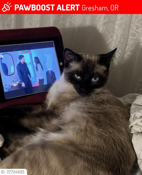 Lost Male Cat last seen 31st and Powell , Gresham, OR 97030