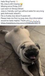 Lost Male Dog last seen Shreya & Moutwoood, El Paso, TX 79938