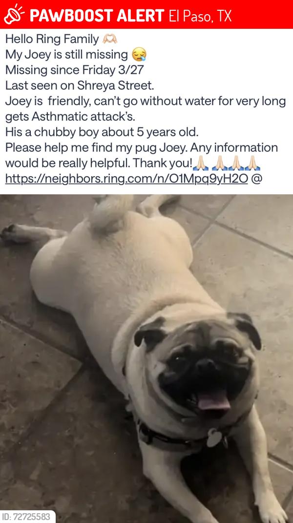 Lost Male Dog last seen Shreya & Moutwoood, El Paso, TX 79938