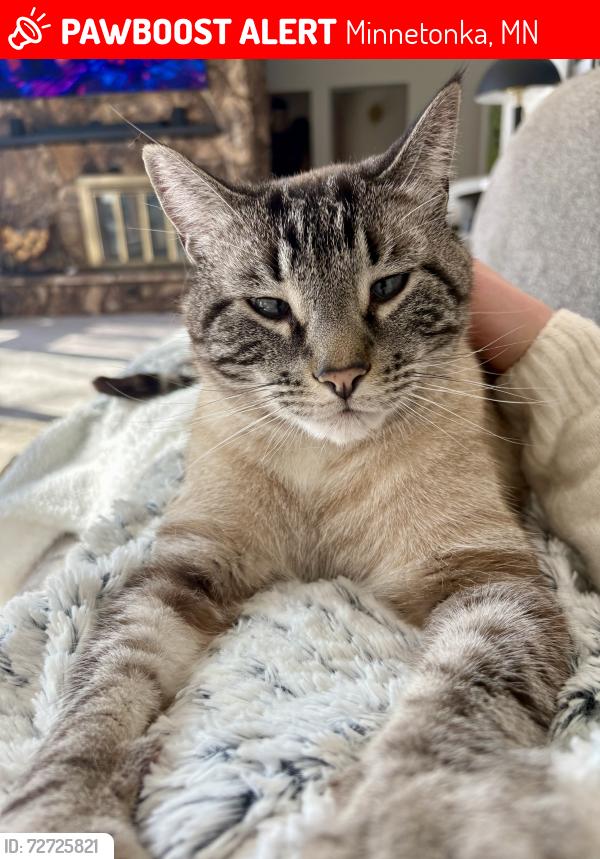Lost Male Cat last seen highwood dr., Minnetonka, MN 55345