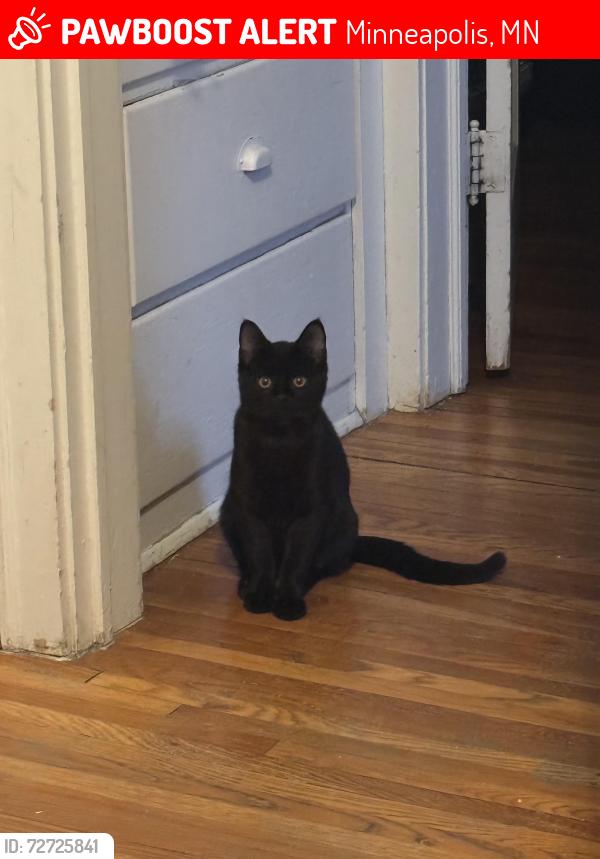 Lost Male Cat last seen 35th street, Minneapolis, MN 55408