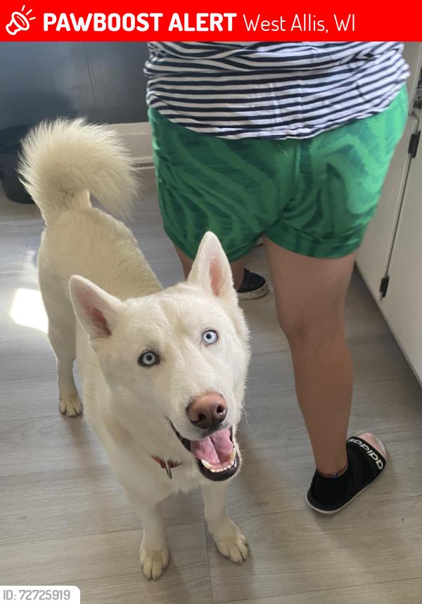 Lost Male Dog last seen Near S 90th St, West Allis, WI 53214