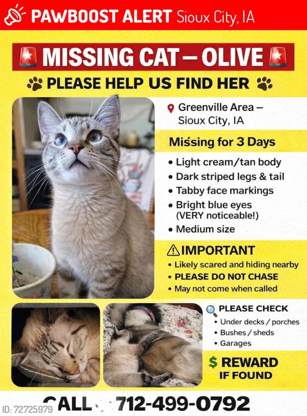Lost Female Cat last seen Eden Ave & 5th Street , Sioux City, IA 51105