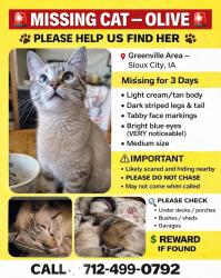 Lost Female Cat last seen Eden Ave & 5th Street , Sioux City, IA 51105