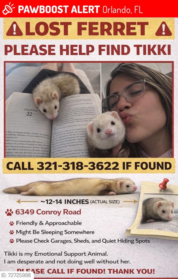 Lost Female Ferret last seen Conroy Road, Orlando, FL 32835