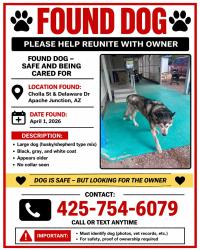 Found/Stray Male Dog last seen Cholla and Delaware in Apache Junction, Apache Junction, AZ 85120