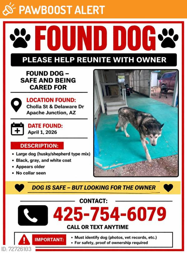 Found/Stray Male Dog last seen Cholla and Delaware in Apache Junction, Apache Junction, AZ 85120