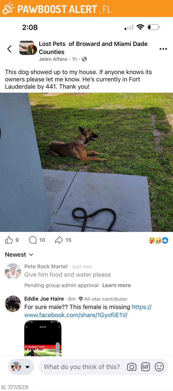 Found/Stray Female Dog last seen Near , Frostproof, FL 33843