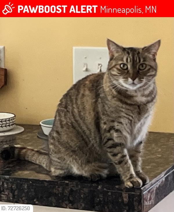 Lost Female Cat last seen Lamplighter Pond, St. Louis Park, Minneapolis, MN 55426