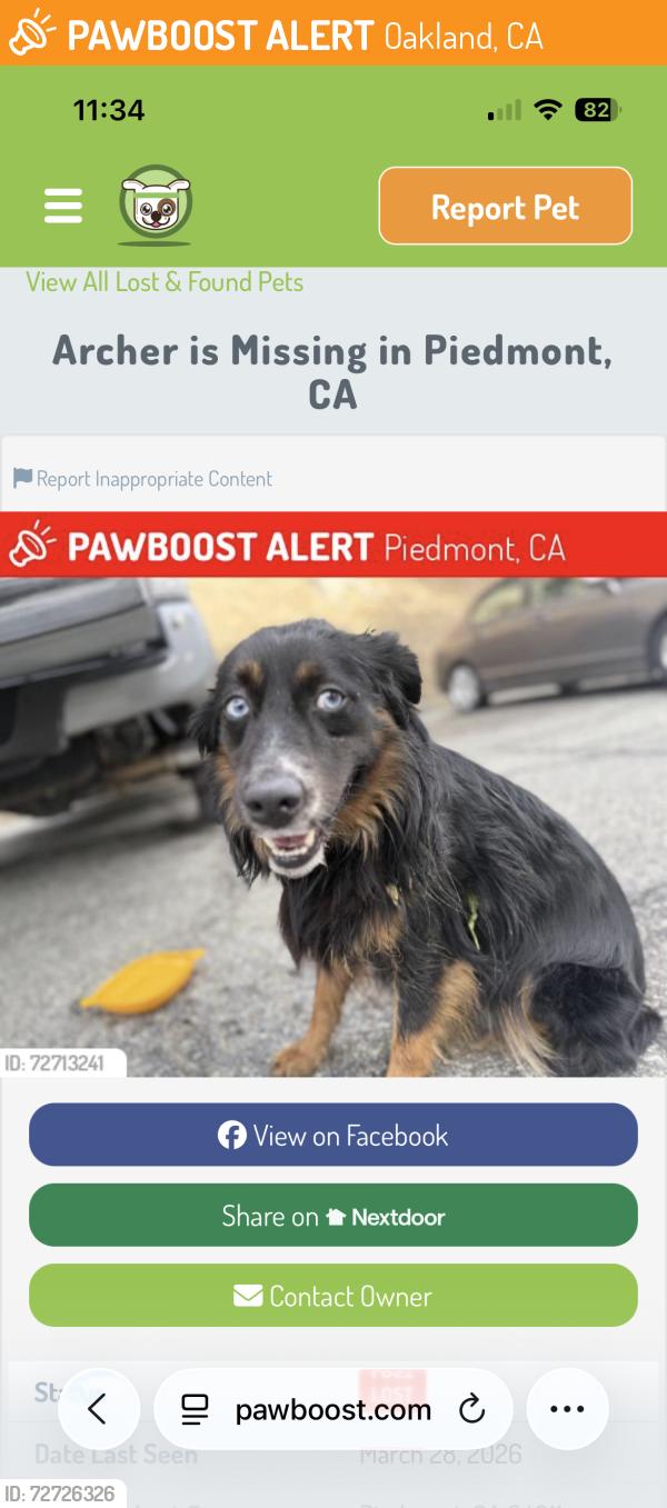 Found/Stray Male Dog last seen Lane court, Oakland, CA 94611