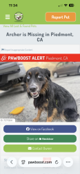 Found/Stray Male Dog last seen Lane court, Oakland, CA 94611