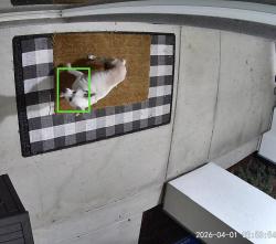Found/Stray Unknown Dog last seen Interlude St & N Evergreen Loop, San Jose, CA 95122