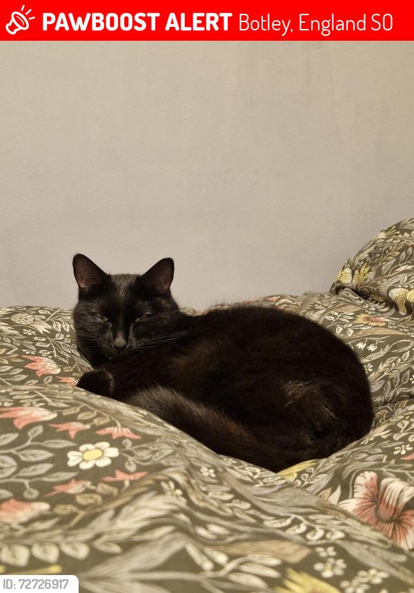 Lost Female Cat last seen Blossom close, Botley, England SO30